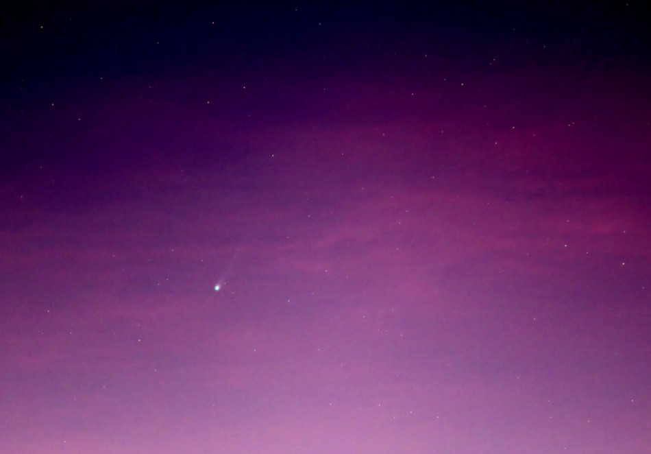 ISON世紀彗星月底撞日：或揭太陽系形成之謎