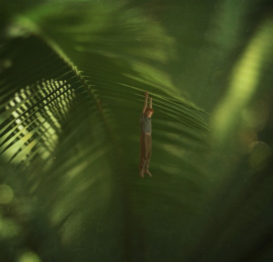 14歲天才攝影師的奇幻世界