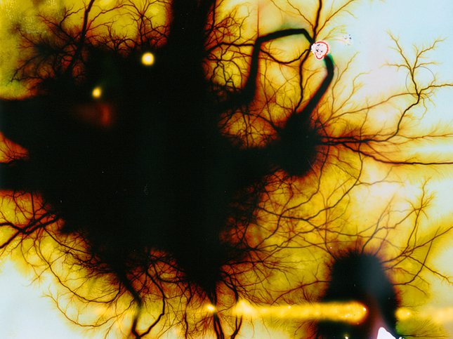 沒被高壓電劈過的膠片不是好畫布