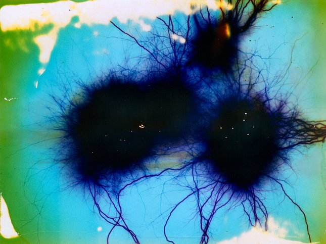 沒被高壓電劈過的膠片不是好畫布