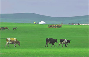 Captivating Wuyi Mountain in Fujian, SE China