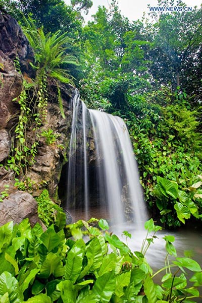 Singapore Botanic Gardens declared UNESCO World Heritage Site