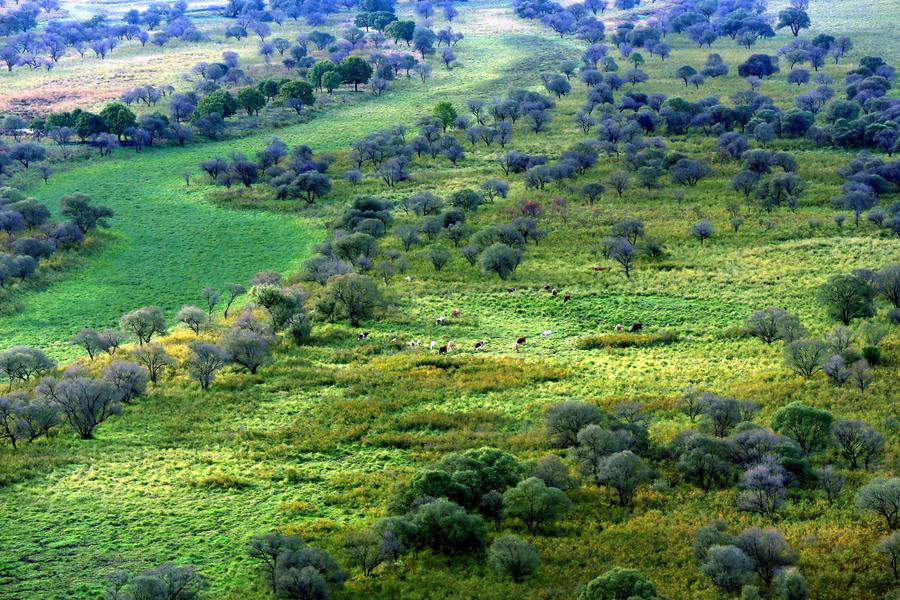 Scenery of Wusuli river along China-Russia border