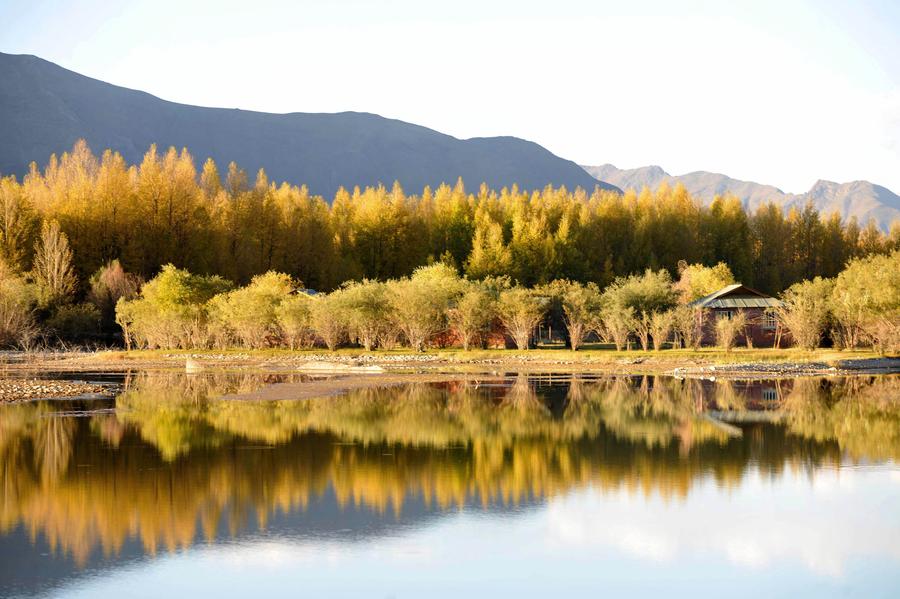 Autumn scenery in Dagze county of Tibet