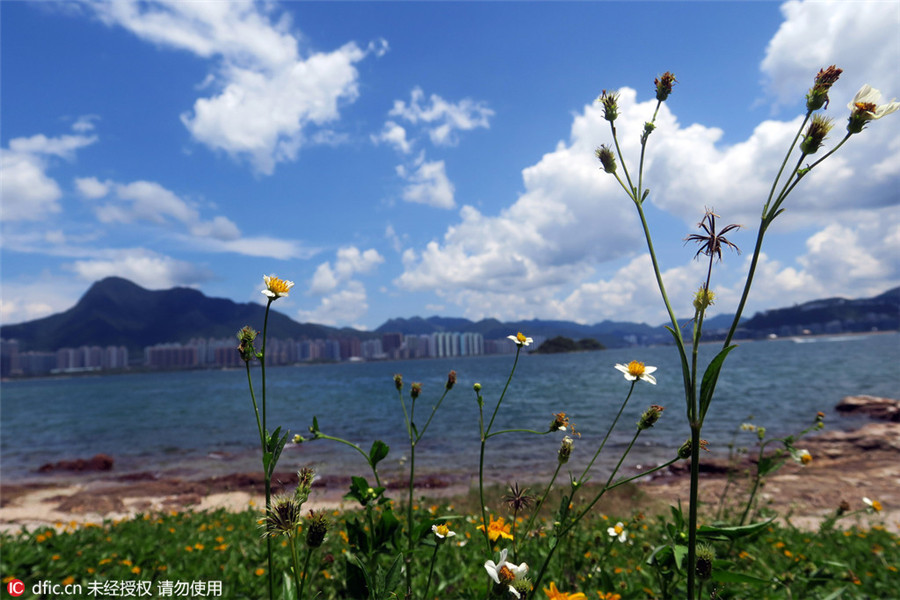 Ma Shi Chau: Beautiful geological park in HK