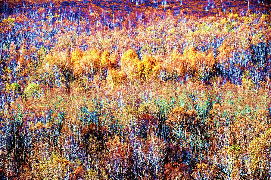 Gongbiela Nature Reserve exemplifies ecology protection