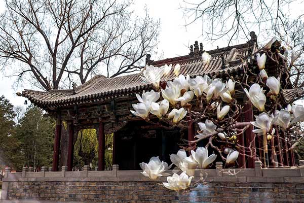 Jinci, a temple for 3,000 years