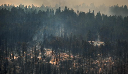 Thousands flee Canadian forest fire