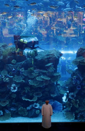 Dubai ruler's ambition helped brew crisis