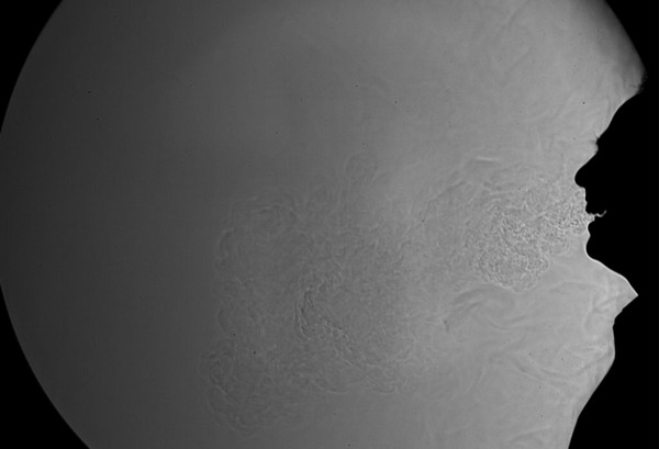 How far do your sneeze and cough go? Experts study