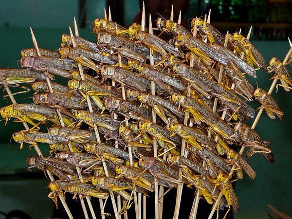 外國人眼中各國特色小吃