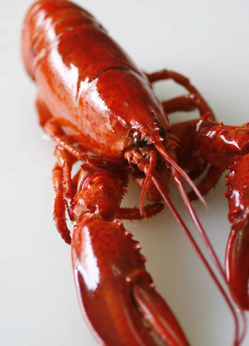 寒冬補(bǔ)身 進(jìn)食海鮮正當(dāng)時(shí)