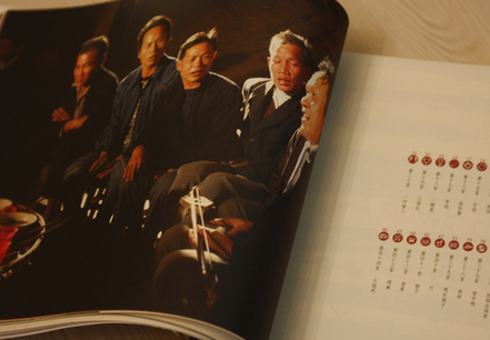 畫(huà)在土布上的壯族情歌《坡芽歌書(shū)》