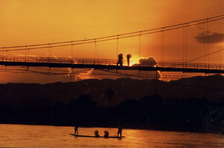 科學家版納植物園做導游