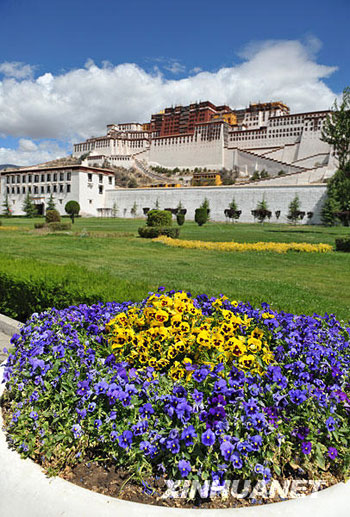 布達拉宮七月美如畫[組圖]