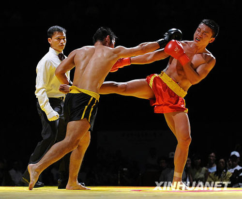 中華國(guó)術(shù)大賽舉行總決賽[組圖]