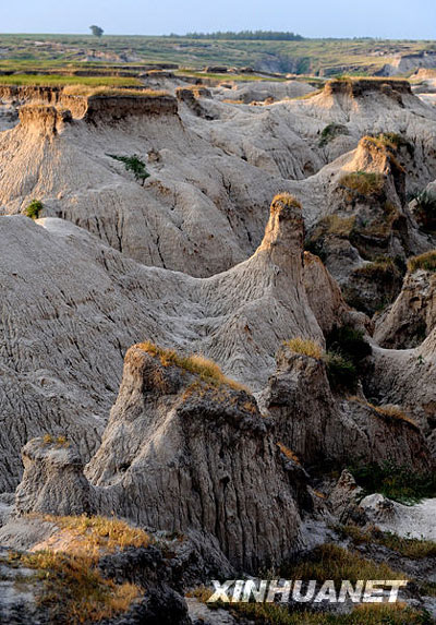神奇的吉林乾安泥林[組圖]