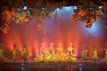 看《蝴蝶之夢》圓蝴蝶之夢