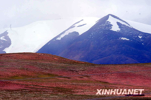 讓人迷醉的藏北無人區
