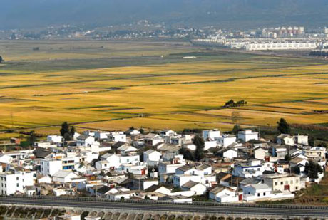 云南會澤金鐘鎮：一個新興的小康村[組圖]