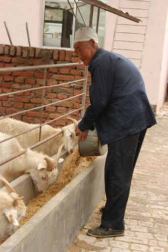 躍進的橫山：綜合經濟實力躍升陜西省第14位[圖]