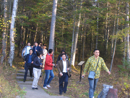 “第三屆龍江行”采訪團抵達伊春，感受“森林氧吧”