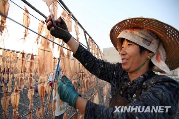 金秋十月曬魚忙