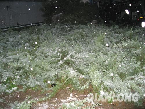 京城迎來今年第一場降雪 城區氣溫驟降(圖)