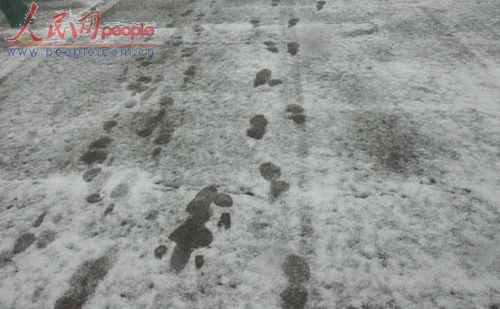 北京受降雪影響部分航班延誤 已啟動應急預案