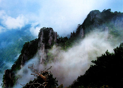 一輪宜春月，共攜情之旅