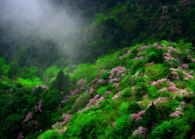 一輪宜春月，共攜情之旅